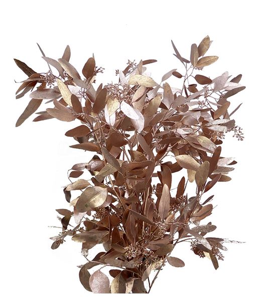 Eucaliptus populus champagne 200gr - EUPOPCHA