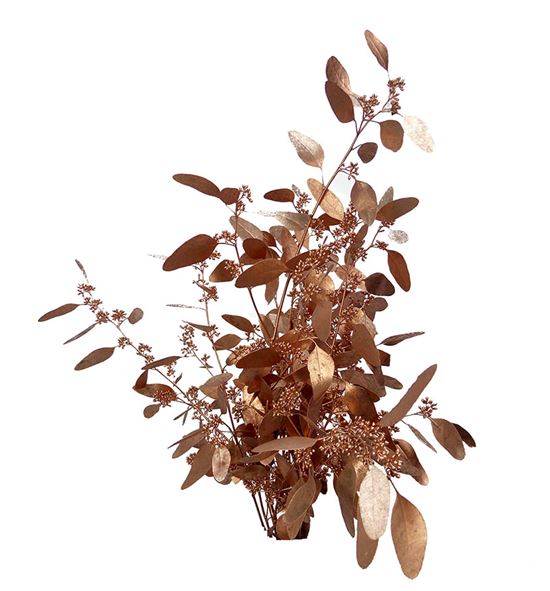 Eucaliptus populus cobre 200gr - EUPOPCOB