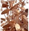 Eucaliptus populus cobre 200gr - EUPOPCOB1