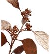 Eucaliptus populus cobre 200gr - EUPOPCOB2