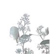 Eucaliptus populus plata 200gr - EUPOPPLA2