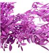 Lentisco fucsia a2 - LENFUC1