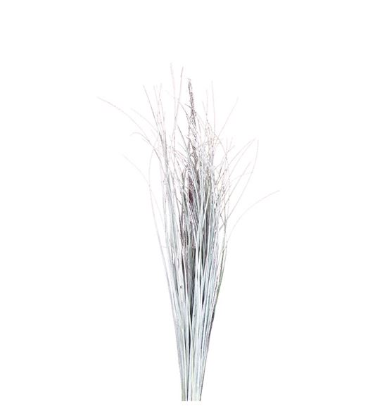 Beargrass blanco - BEABLA
