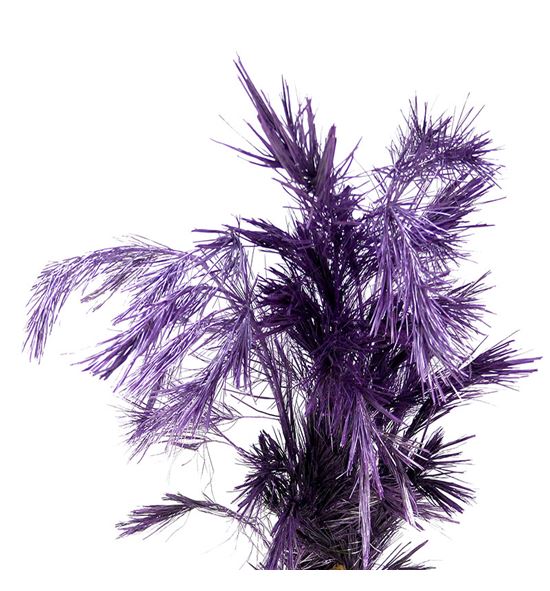 Pinus strobus metalic milka 60 - PINSTRMETMIL