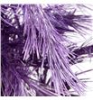 Pinus strobus metalic milka 60 - PINSTRMETMIL1