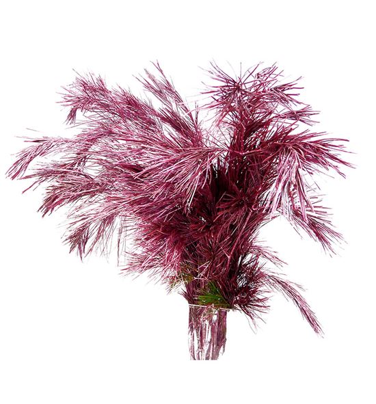 Pinus strobus metalic rosa 60 - PINSTRMETROS