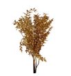 Ruscus fino antiek oro purpurina - RUSFINORO