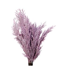 Tuya rosa claro - TUYROSCLA