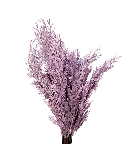 Tuya rosa claro - TUYROSCLA