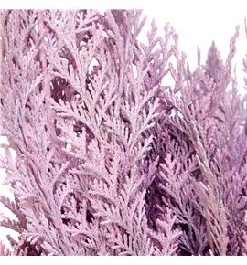 Tuya rosa claro - TUYROSCLA