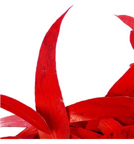 Victoria rojo - VICROJ