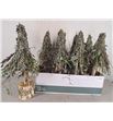 Arbol larix/moss 40 - ARBLARMOS