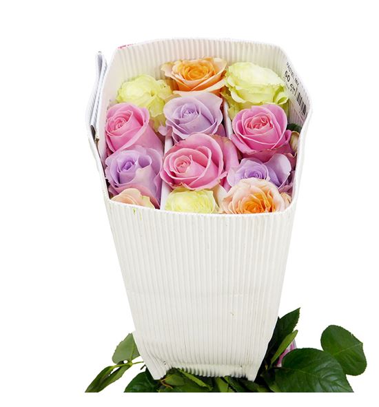 Rosa ecu mixta pastel 60 - REMIXPAS