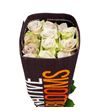 Rosa ecu sandy 50 - RESAN