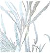Grevillea blanca 200gr - GREBLA1