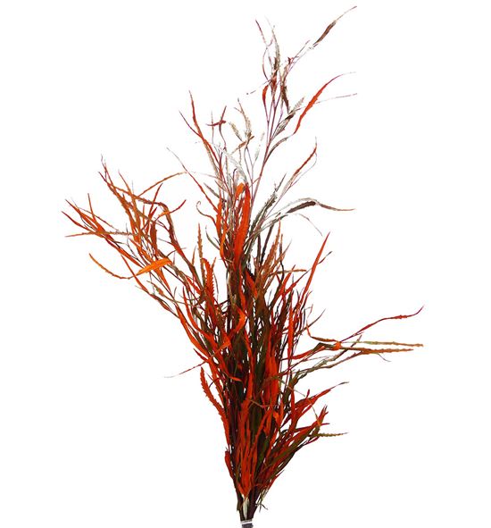 Grevillea naranja 200gr - GRENAR
