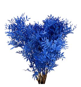 Lentisco azul - LENAZU