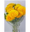Calendula amarilla - CALAMA