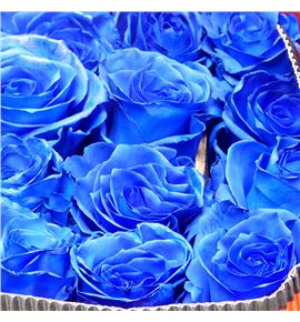 Rosa ecu azul 70 - REAZU