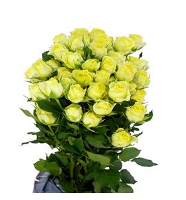 Rs ramificada wedding invite 50 - RTRWEDBEN