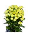 Rs ramificada wedding invite 50 - RTRWEDBEN