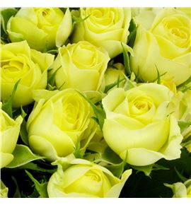 Rs ramificada wedding invite 50 - RTRWEDBEN