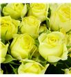 Rs ramificada wedding invite 50 - RTRWEDBEN1