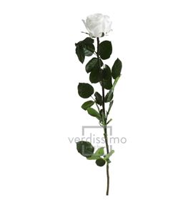 Rosa amorosa preservada estandar prz/1000 - PRZ1000-05-ROSA-TALLO-STANDARD