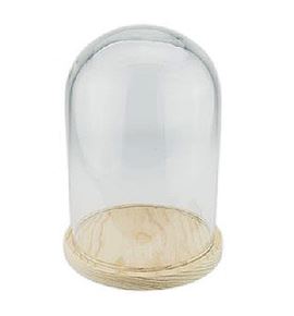 Cupula de cristal base de madera 15*30cm - V-20038