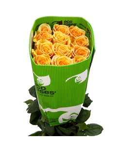 Rosa ecu cavendish 60 - RECAV