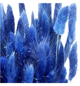 Lagurus seco azul oscuro - LAGSECAZU