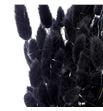 Lagurus seco negro - LAGSECNEG1