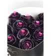 Rosa hol choco black 70 - RGRCHOBLA2