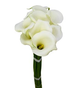 Cala white art 80 - ZANWHIART