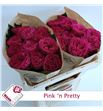 Rosa hol pink pretty 50 - RGRPINPRE