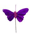 Pick mariposa morada 10cm - MARMOR810