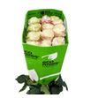 Rosa ecu country candy 60 - RECOUCAN