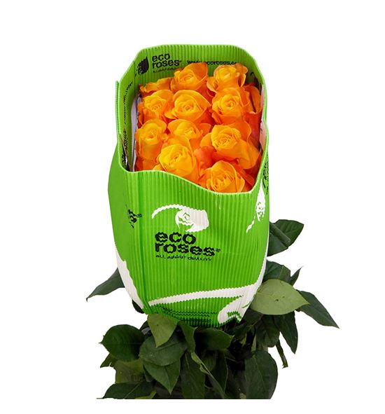 Rosa ecu aloha 60 - REALO