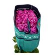 Rosa ecu queen crown 60 - REQUECRO