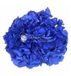 Hortensia preservada blue 03 - HYDPREBLU03