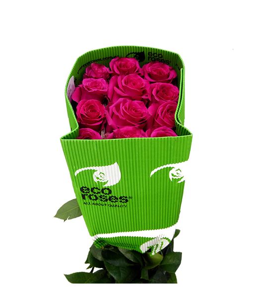 Rosa ecu full monty 50 - REFULMON