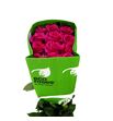Rosa ecu full monty 50 - REFULMON