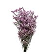 Limonium chino preservado rosa - LIMCHIPREROS