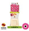 Gerbera cubanita 50 x15 - GERCUB5015