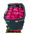 Rosa ecu country blues 50 - RECOUBLU