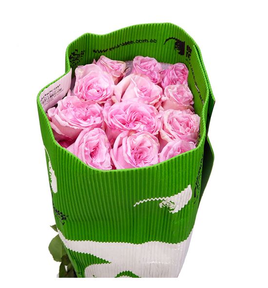 Rosa ecu o hara 40 - REOHAR