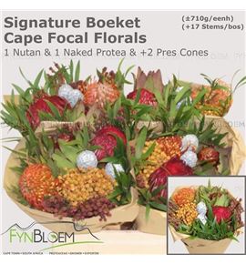 Bqt safari 1 nutans 1 naked protea 40 - BQT1NUT1NAK40