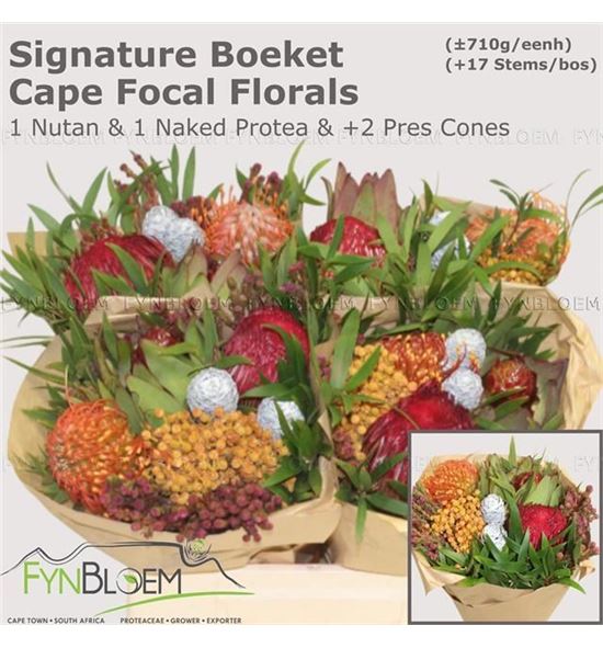 Bqt safari 1 nutans 1 naked protea 40 - BQT1NUT1NAK40