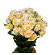 Rs ramificada sweet chablis 50 - RTRSWECHA