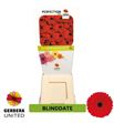 Gerbera blinddate 50 x15 - GERBLI5015